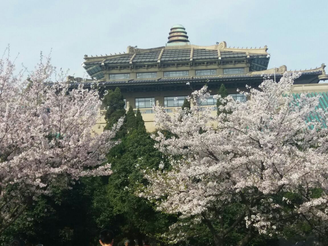 武汉大学旅游景点攻略图