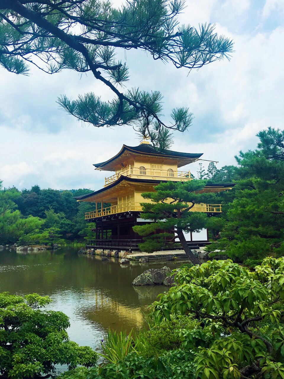 2019金阁寺_旅游攻略_门票_地址_游记点评,京都旅游