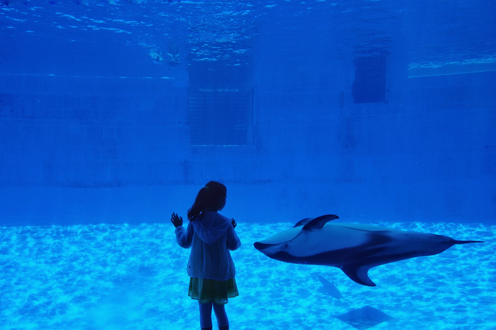 【携程攻略】中部爱知县名古屋名古屋港水族馆好玩吗,中部名古屋港