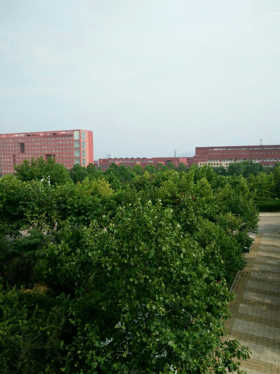 曲阜师范大学