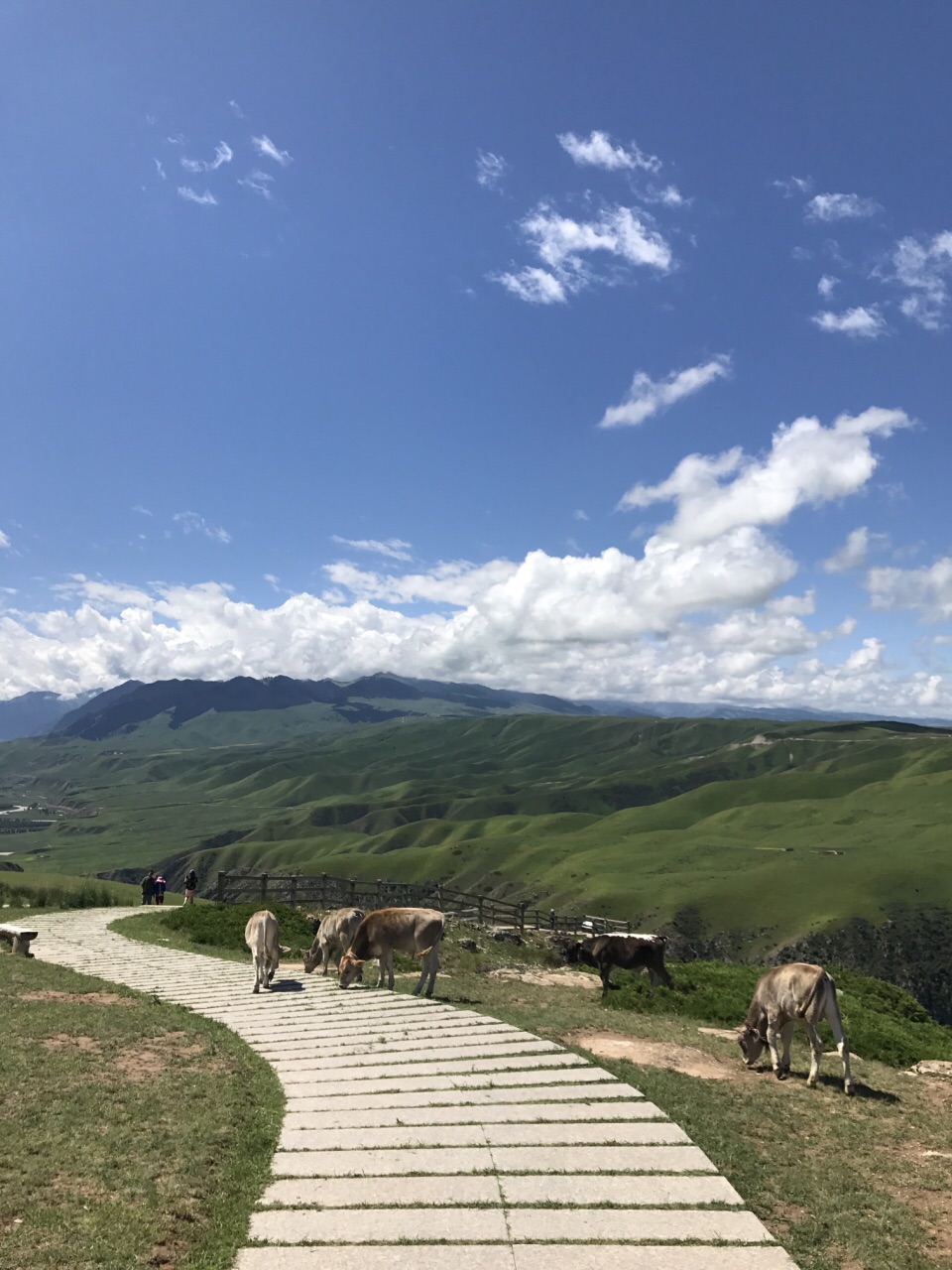 喀拉峻草原旅游景点攻略图