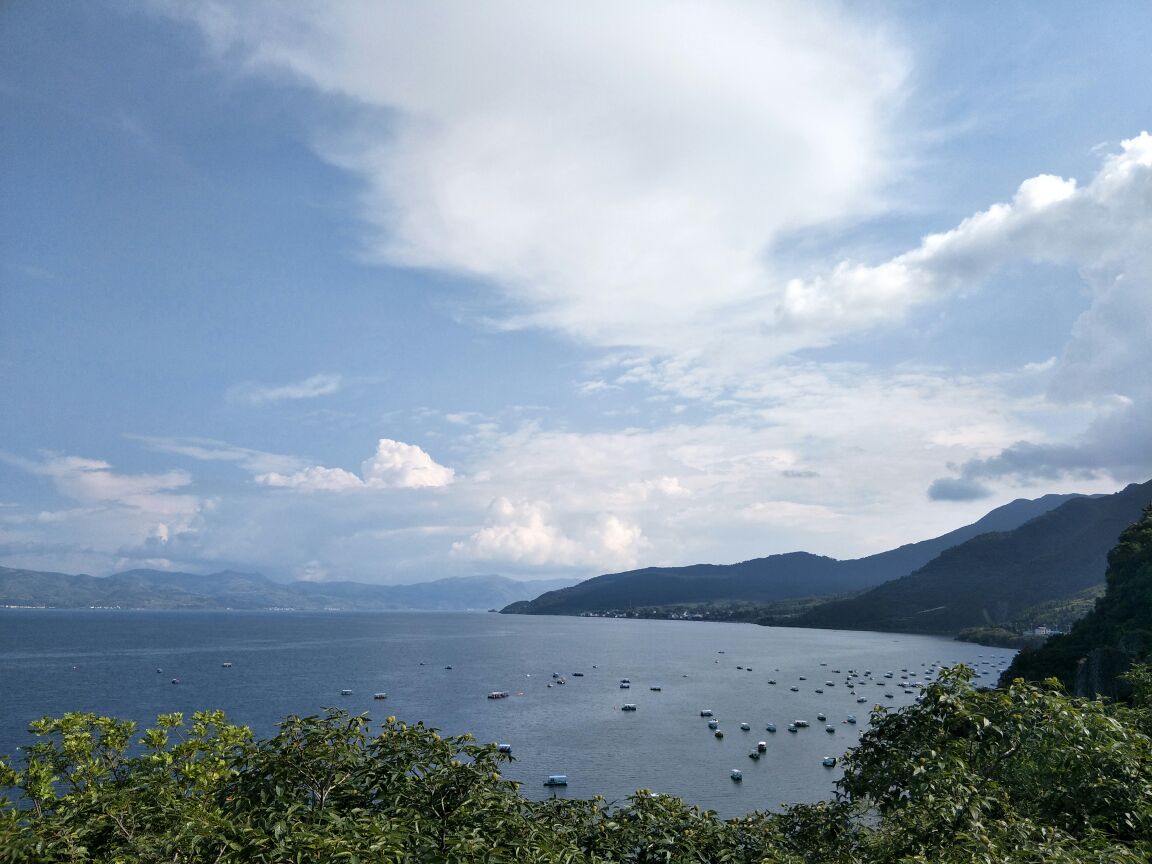 2019禄充风景区_旅游攻略_门票_地址_游记点评,澄江
