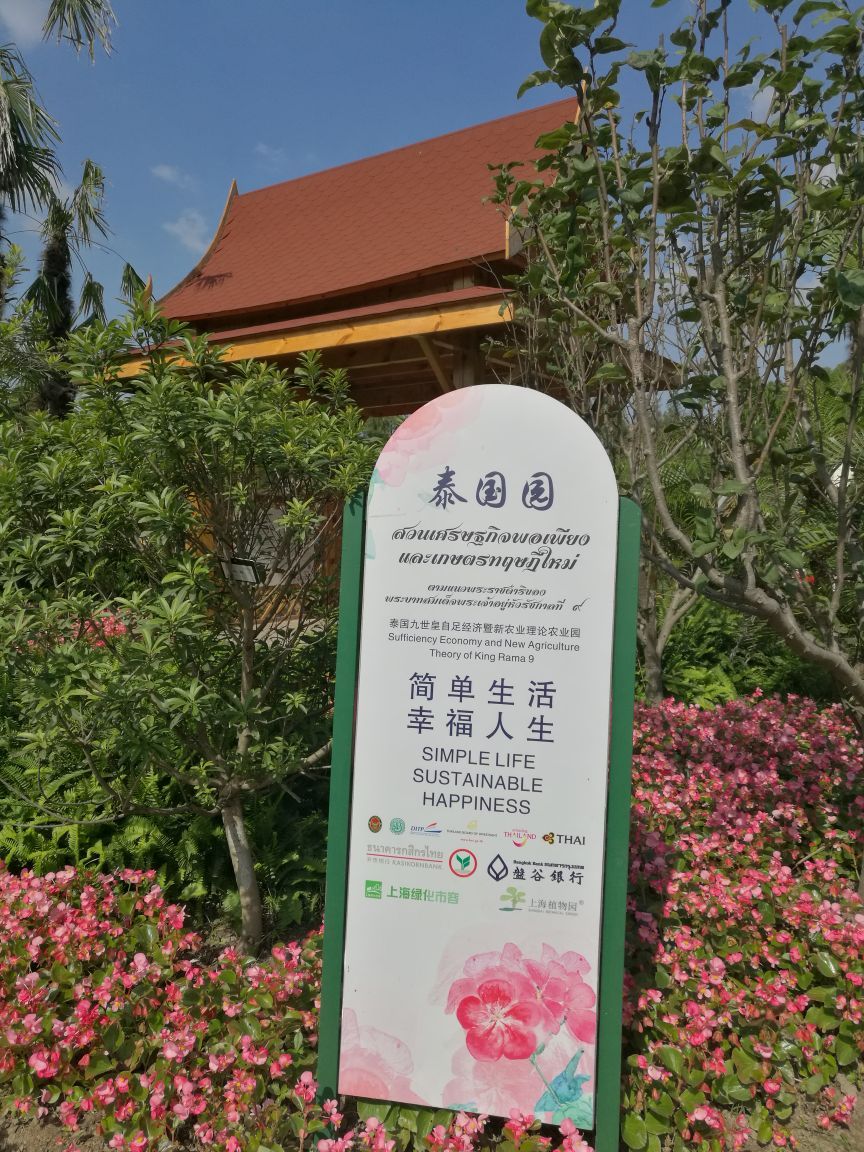 时间:2017年10月24日am
地点:上海植物园龙吴路1111号
路线