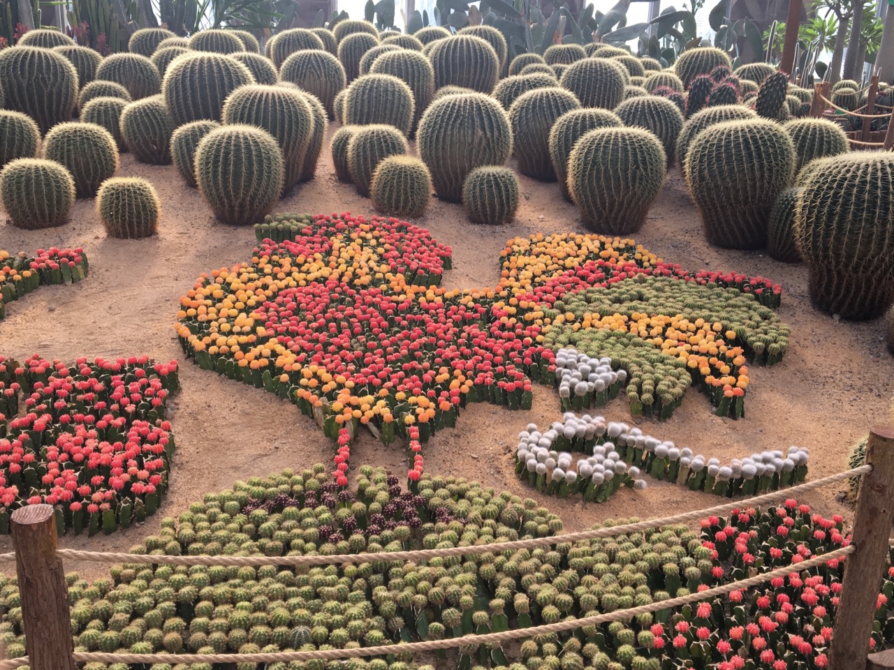 北京世界花卉大观园好玩吗,北京世界花卉大观园景点样