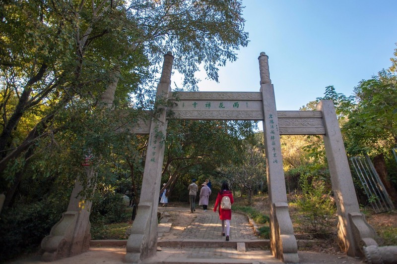 无论在雨花胜境,在东山村,在陆巷村,都有可以自然采摘的橘园.