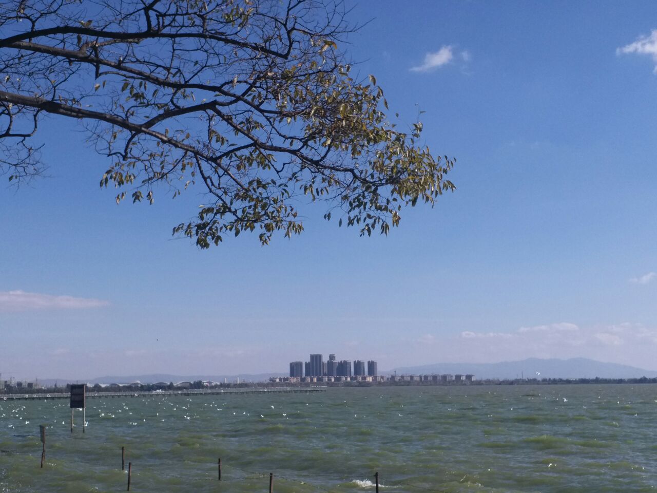 海埂公园旅游景点攻略图