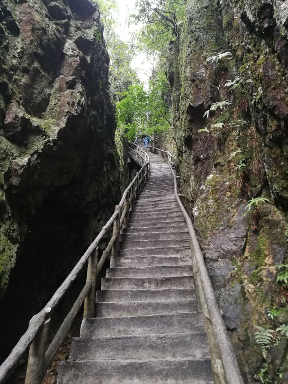 牛头山国家森林公园