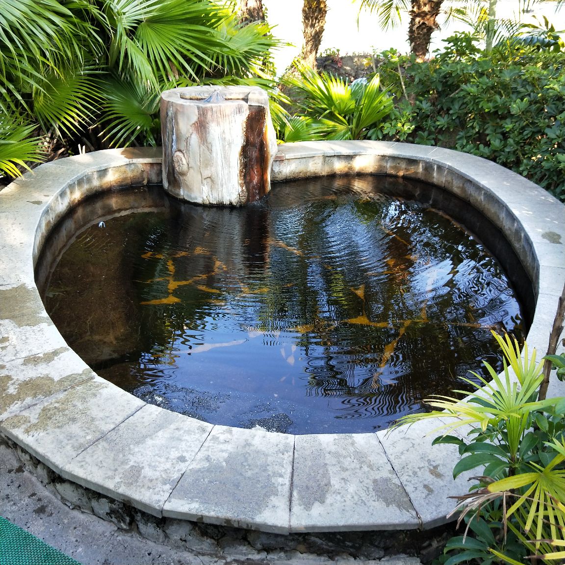 河源叶园温泉图片