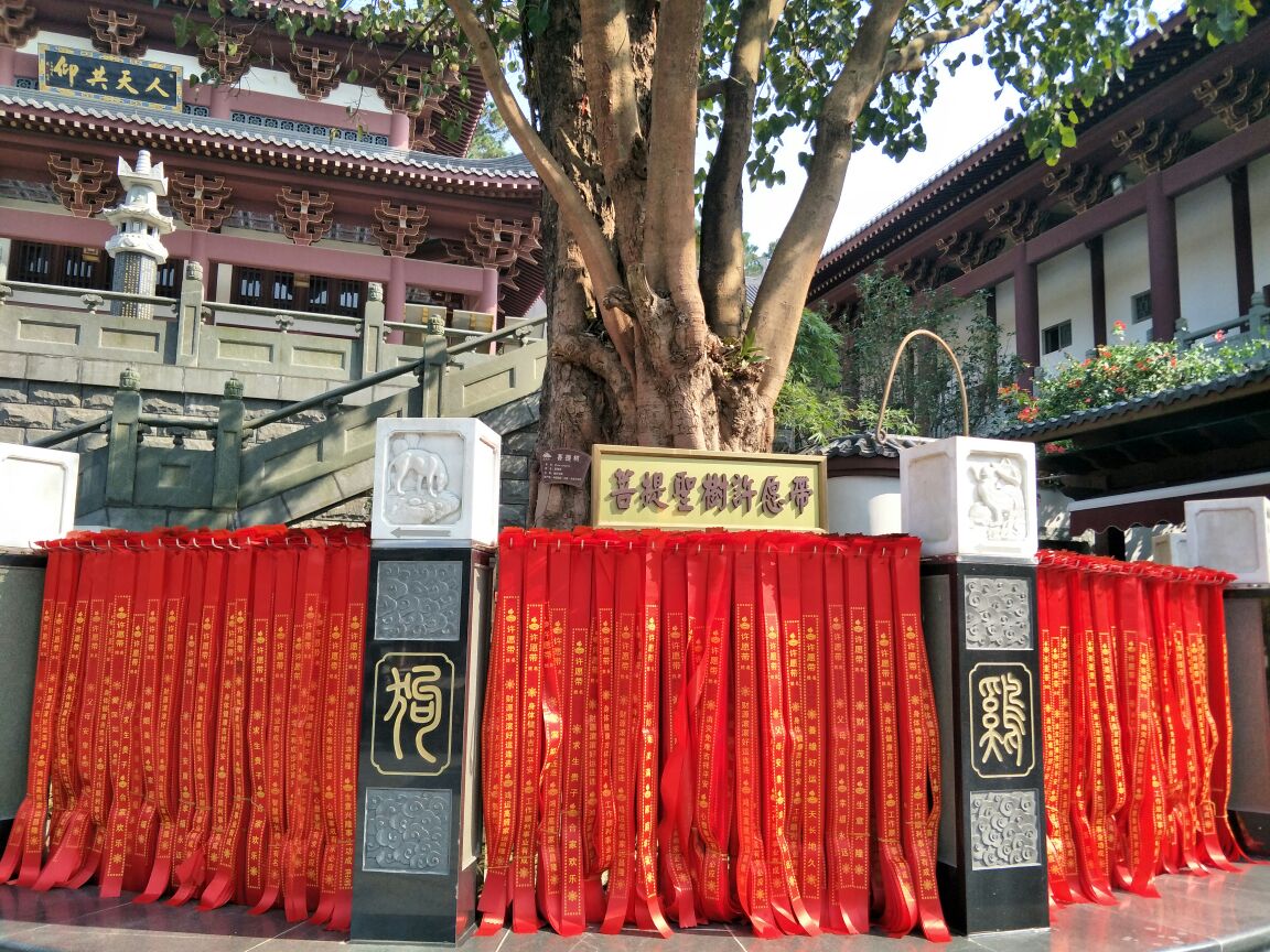 南宁万寿观音禅寺在青秀山公园里,最高峰处,进入需要另外购票5元.