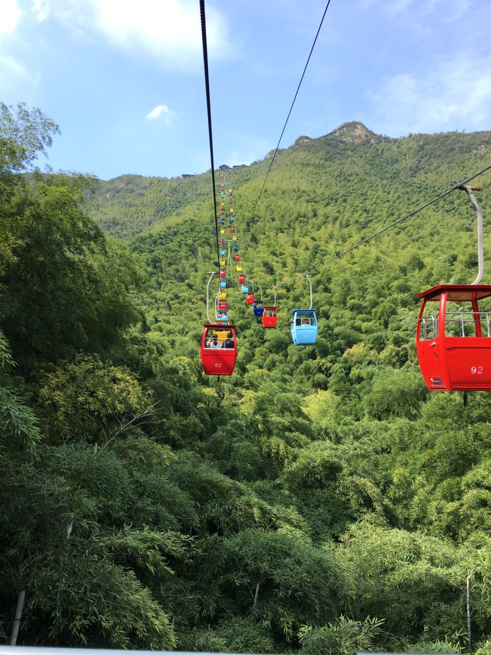 南山竹海