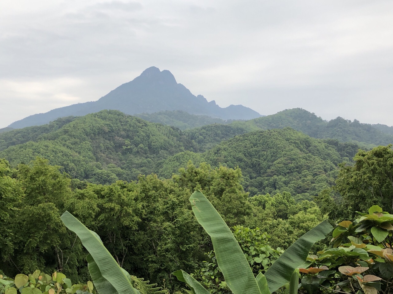 五指山五指山热带雨林风景区好玩吗,五指山五指山热带雨林风景区景点