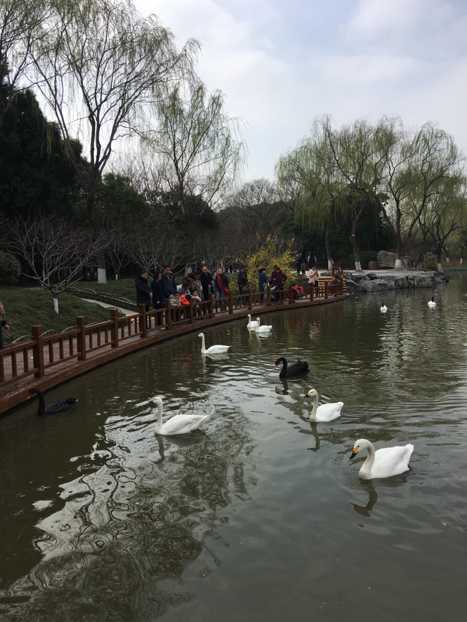 茱萸湾风景区