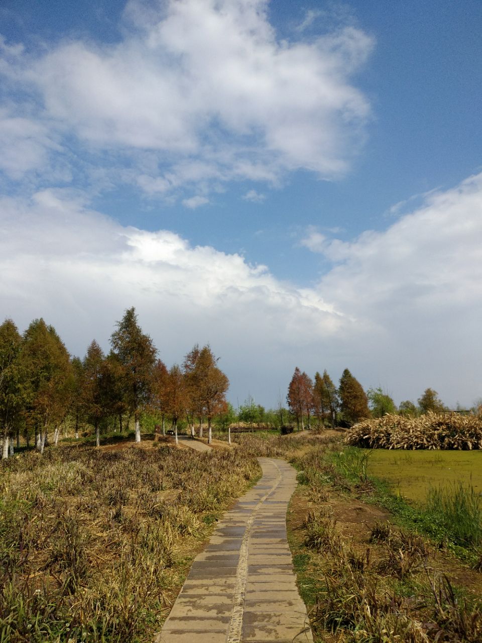 关渡自然公园