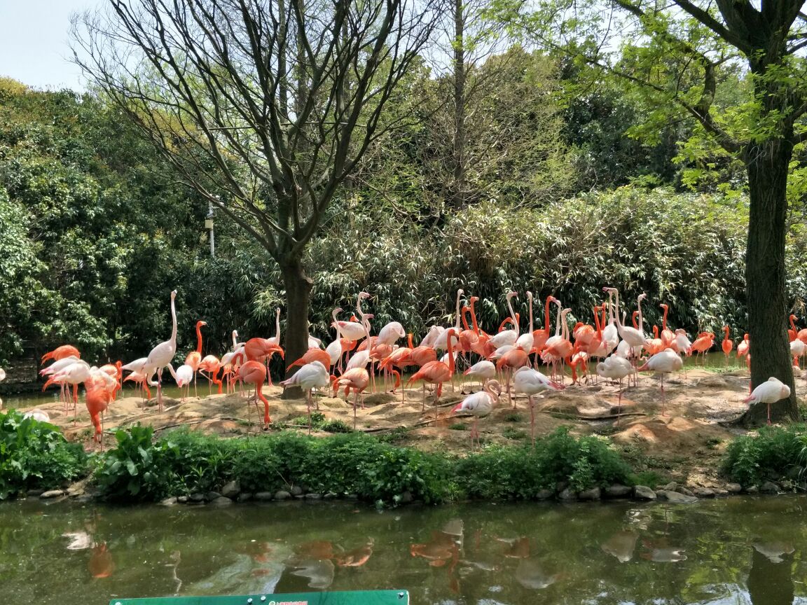 上海野生动物园