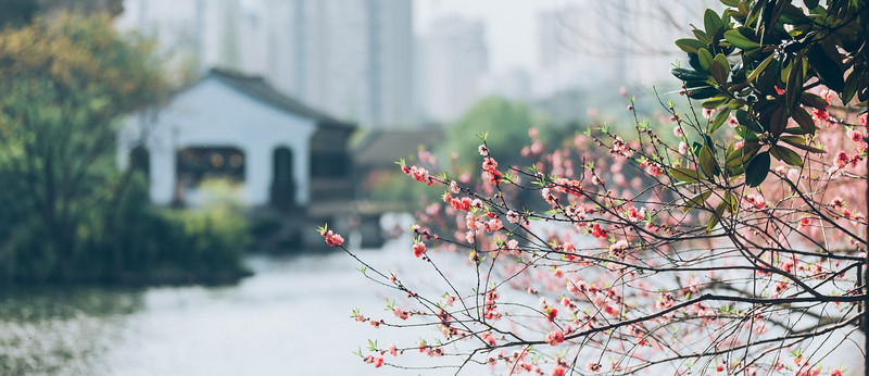 遇见文化绍兴,梦寻诗花江南