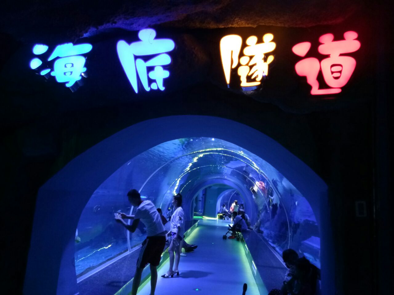 临沂极地海洋世界