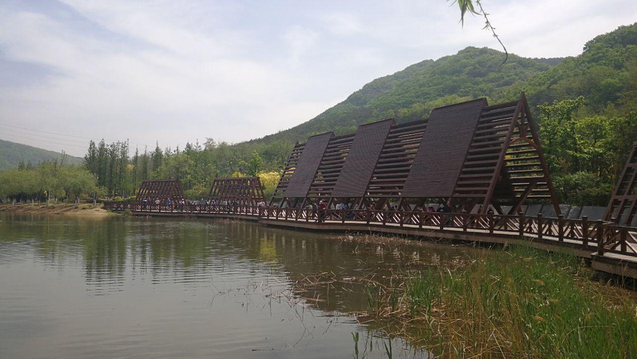 棠梨湖公园
