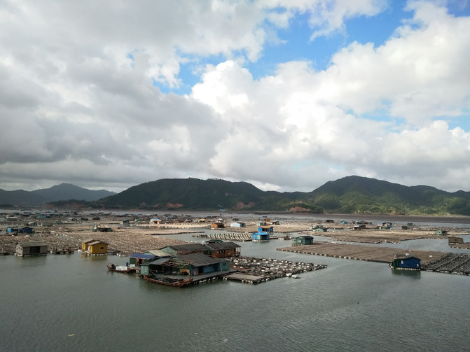 福建霞浦海岛-浙南林坑古村落暑期行记