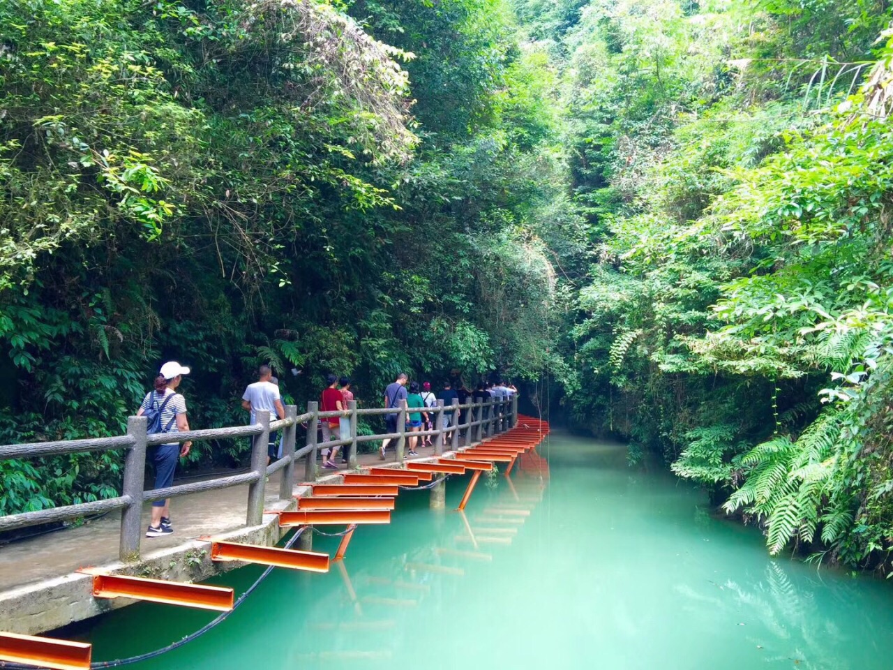 2022张家界朝阳地缝景区-旅游攻略-门票-地址-问答-游记点评,慈利旅游