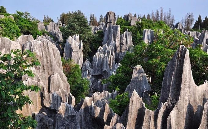 云南石林:"喀斯特"王国,赏天下第一奇观!|北青旅居亲子度假