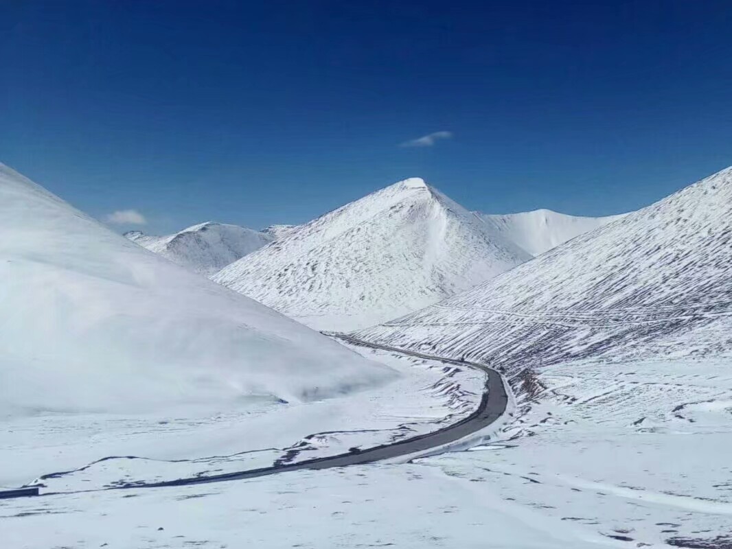 1月上旬火车去拉萨,西藏下雪了吗