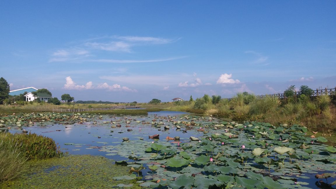 【携程攻略】鄱阳鄱阳湖国家湿地公园好玩吗,鄱阳国家