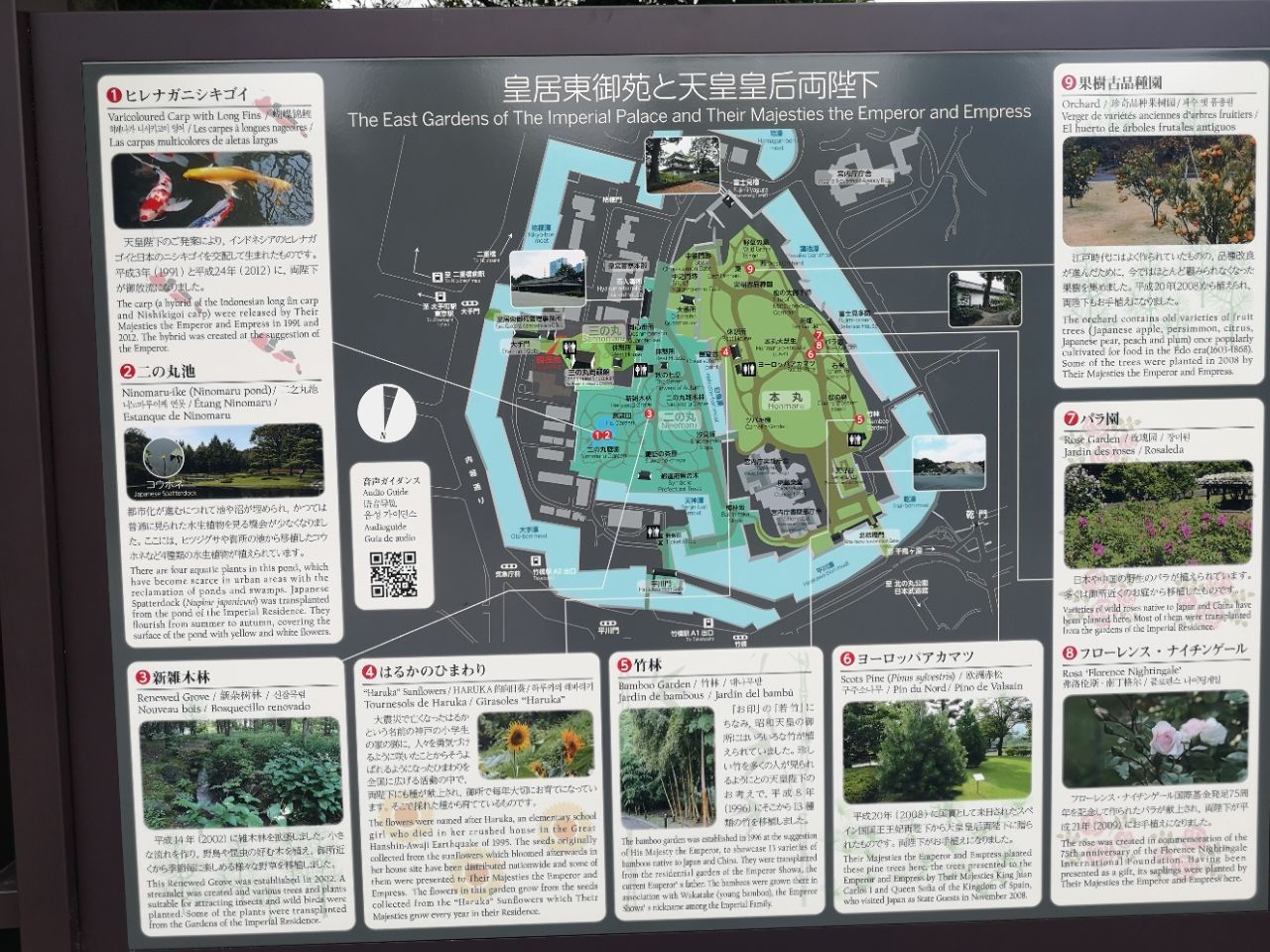 东京皇居好玩吗,东京皇居景点怎么样_点评_评价【携程攻略】
