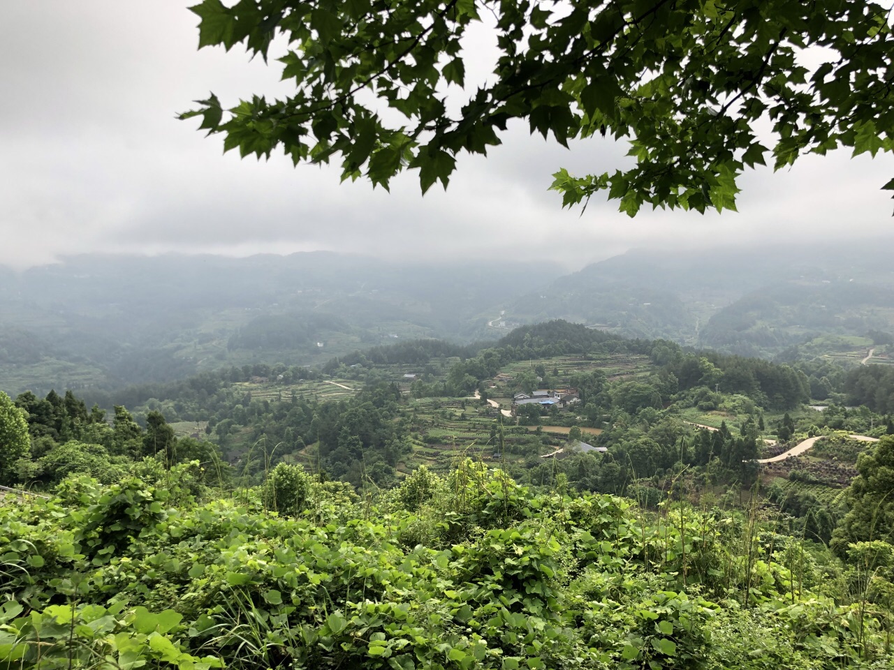 重庆圣灯山森林公园好玩吗,重庆圣灯山森林公园景点样