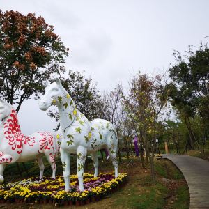 淮安市白马湖生态旅游景区