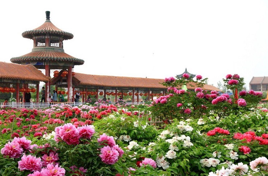 菏泽曹州百花园好玩吗,菏泽曹州百花园景点怎么样