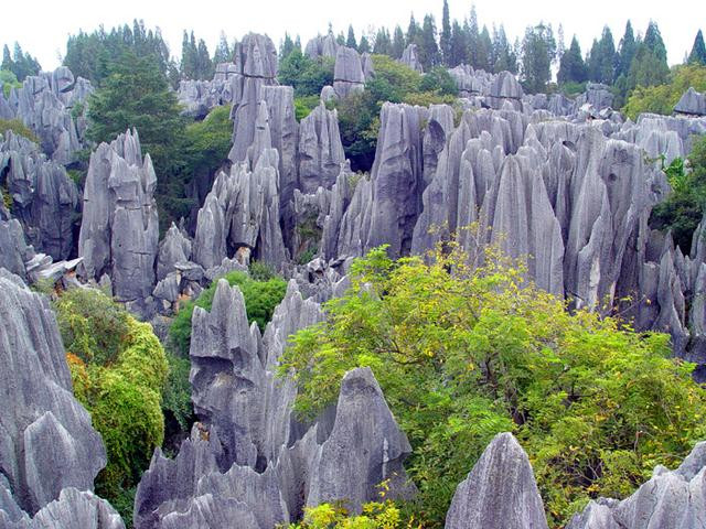 俯瞰石林(摄影:冯赣勇) 石林奇观举世罕见,它以宏大奇伟的喀斯特地貌