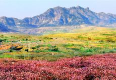 桃林大山峡谷漂流