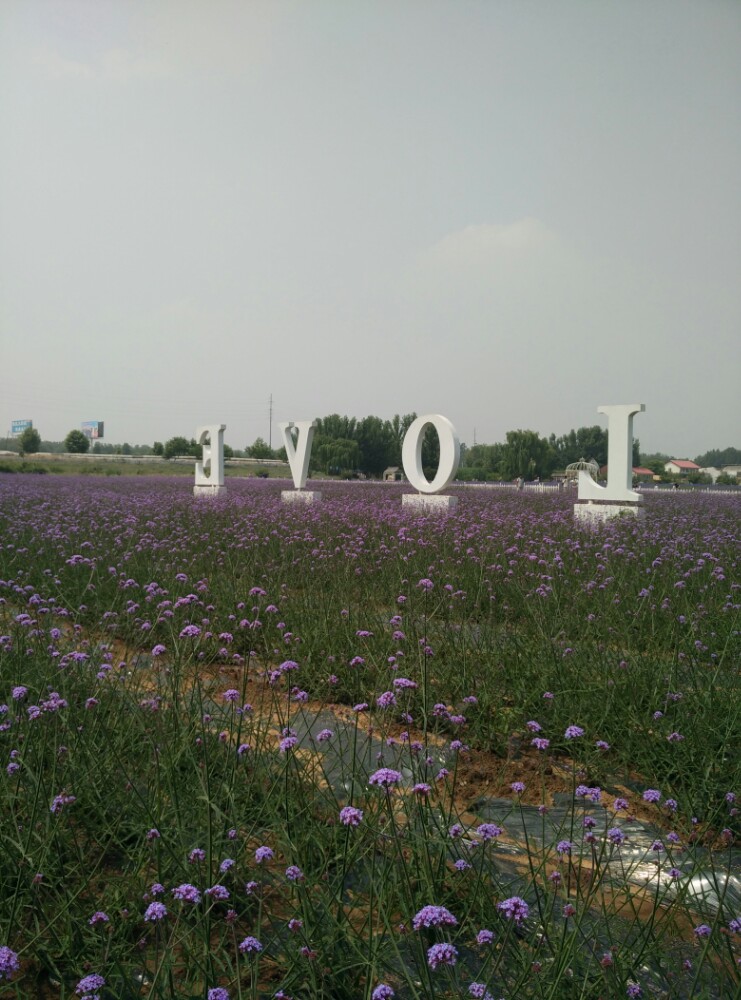 章丘区紫缘香草园好玩吗,章丘区紫缘香草园景点怎么样_点评_评价