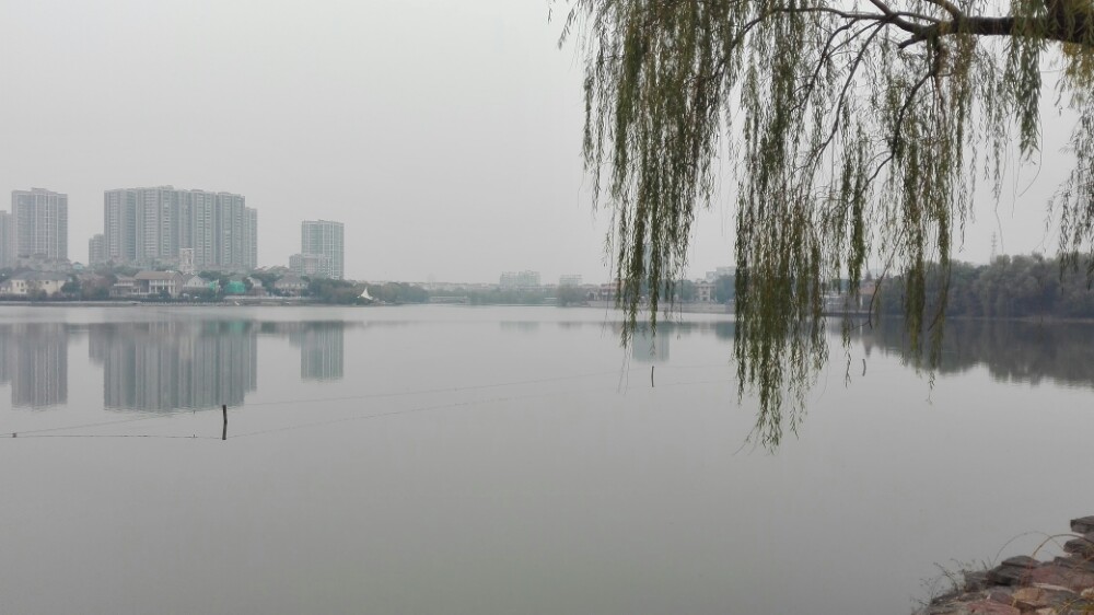 【携程攻略】南京九龙湖湿地公园景点,挺不错的地方