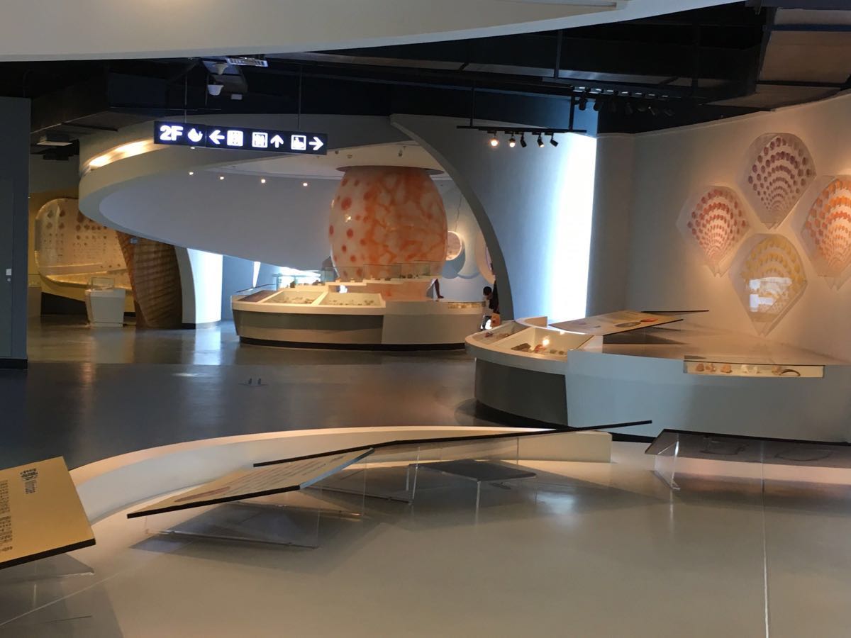 到贝壳博物馆看神奇古生物钟-青岛西海岸新闻网