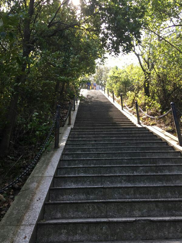 九真山景区位于武汉市蔡甸区九真山国家森林公园的核心区域,是国家