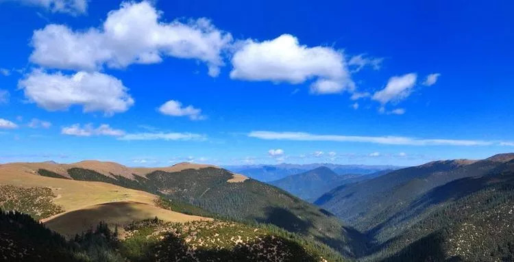 上剪子弯山的天路十八弯.