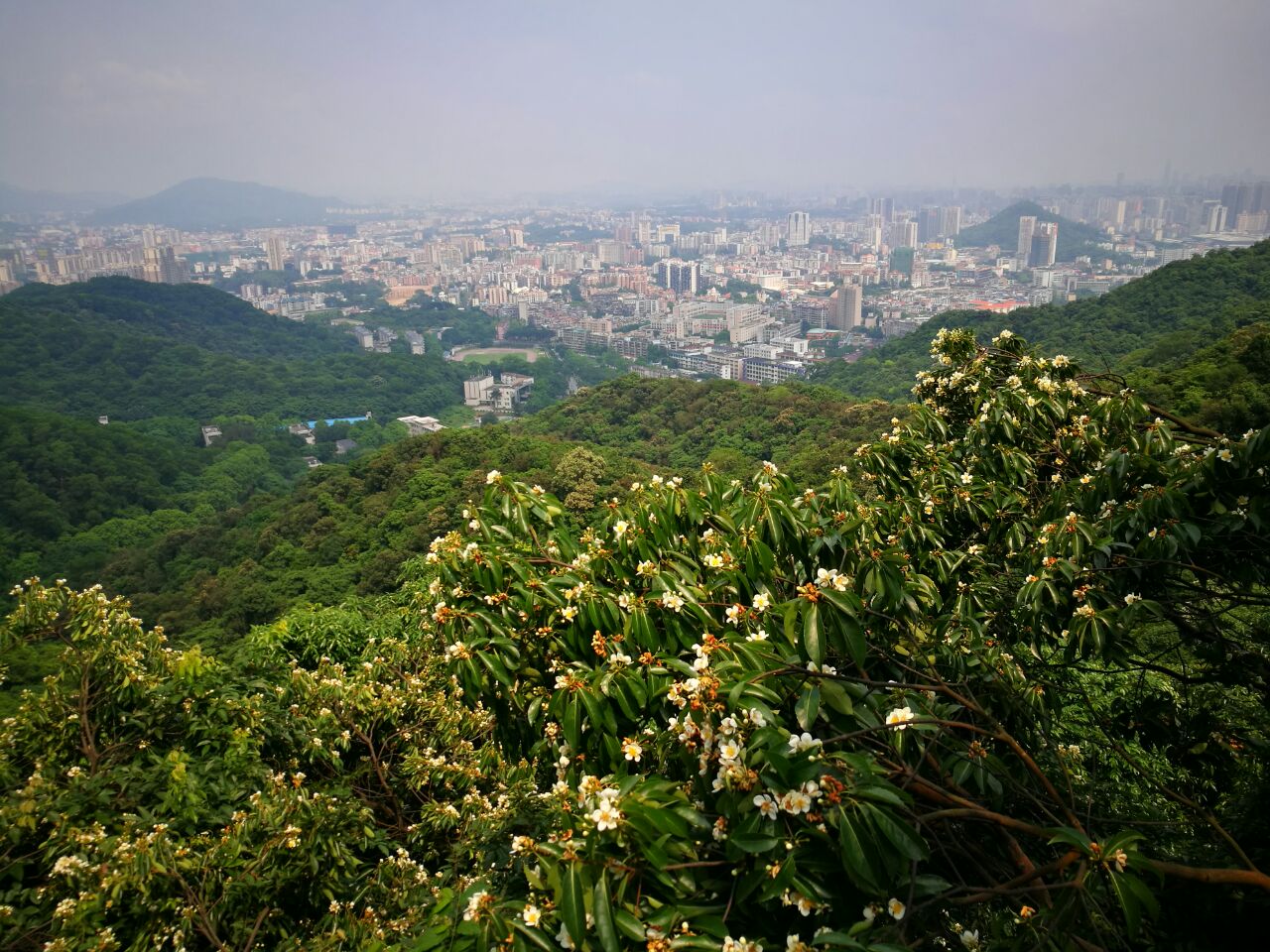 步道与观景平台