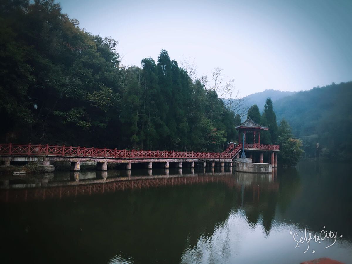 天曌山国家森林公园