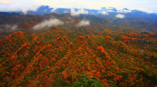 光雾山