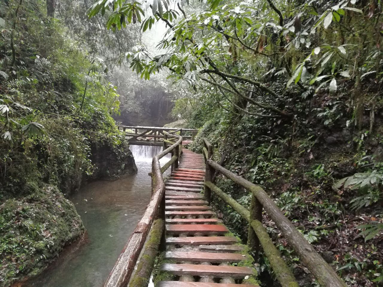 相比青城前山,后山主要是自然风光,景色很美.