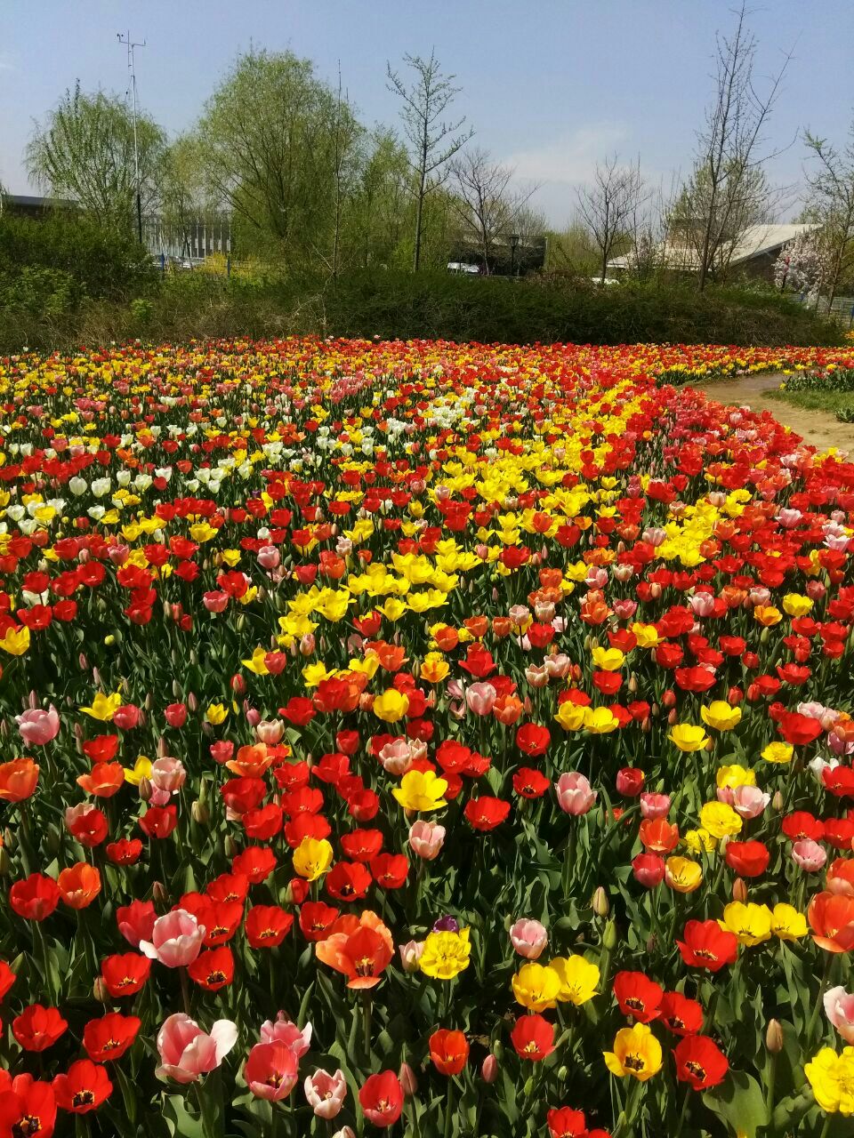2019北京国际鲜花港_旅游攻略_门票_地址_游记点评