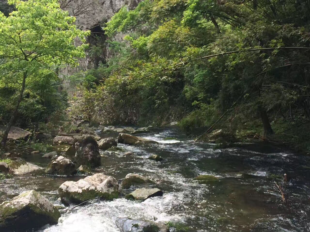 雁荡山筋竹涧好玩吗,雁荡山筋竹涧景点怎么样_点评