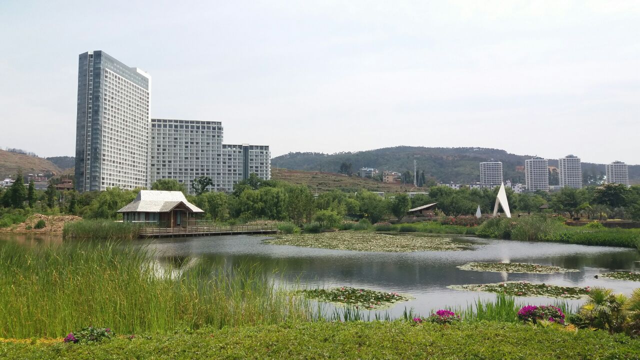 月亮湾湿地公园