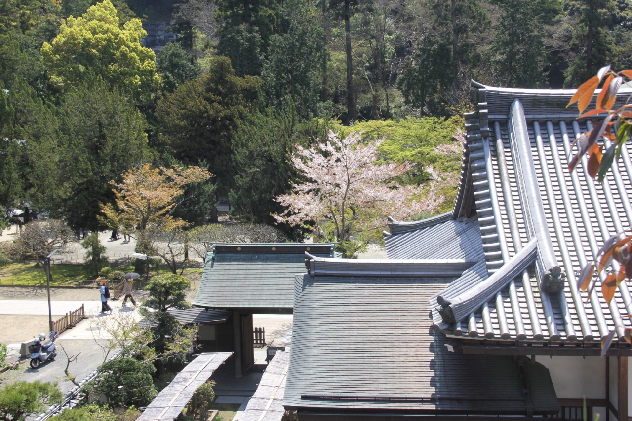 圆觉寺