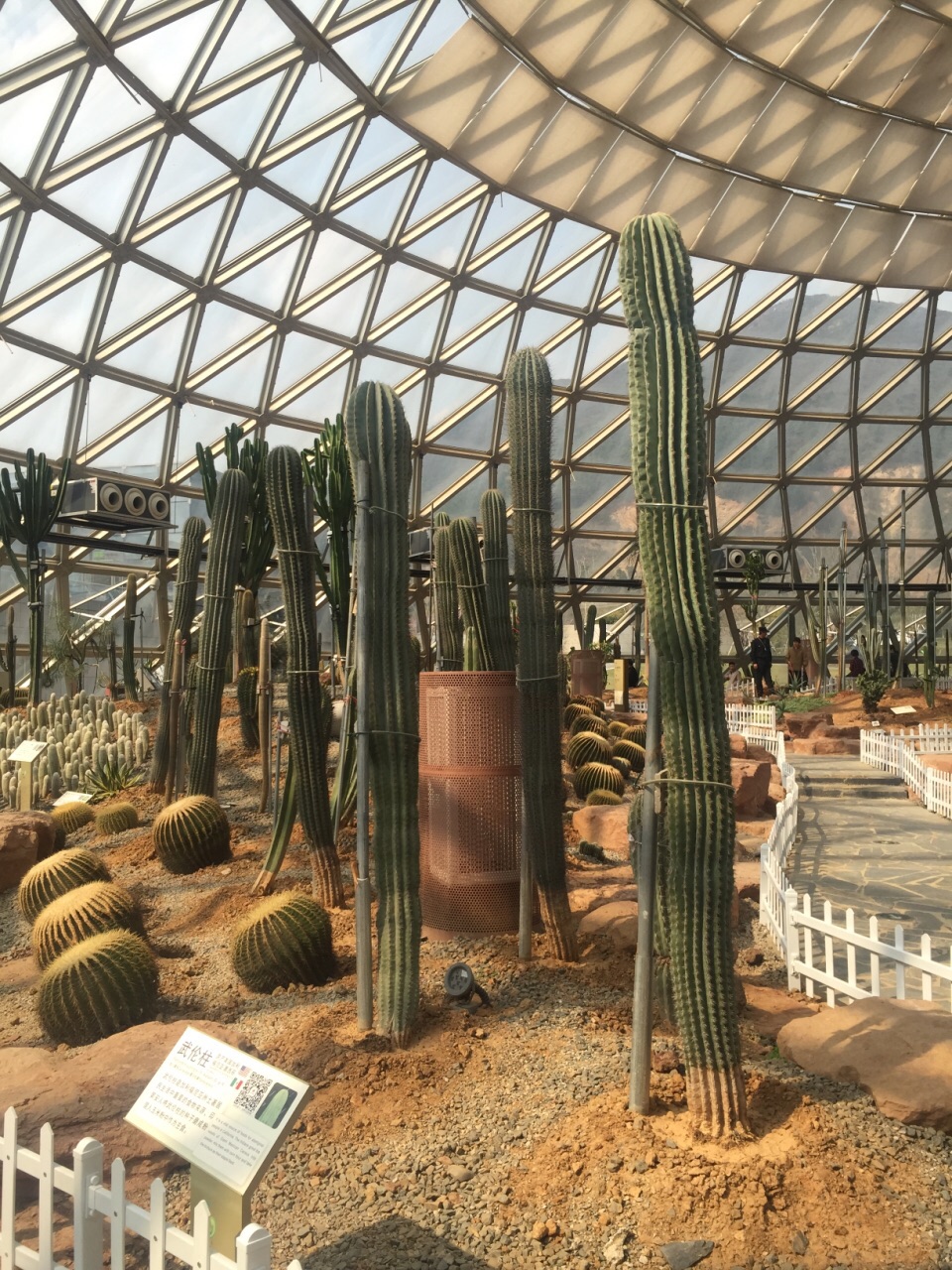 大阳山植物园景区