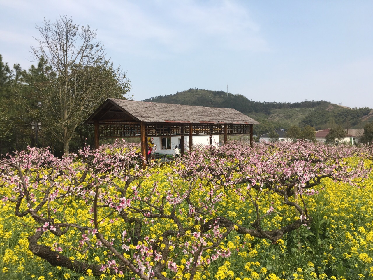 长兴城山沟景区