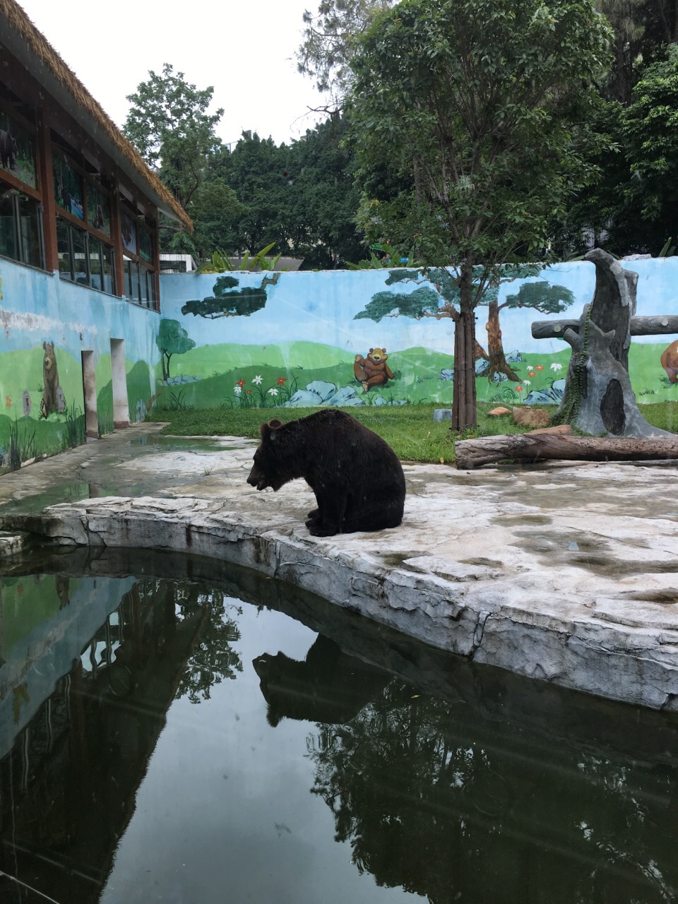 2019广州动物园_旅游攻略_门票_地址_游记点评,广州旅游景点推荐 去