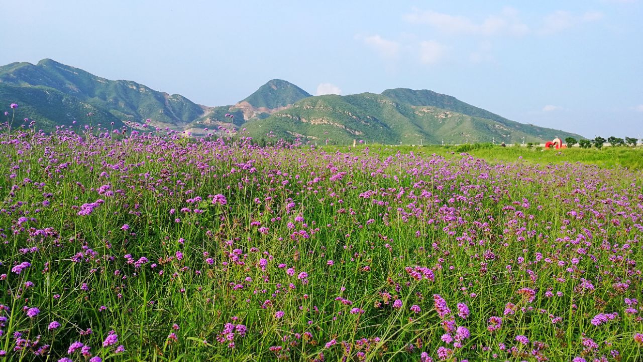 天开花海