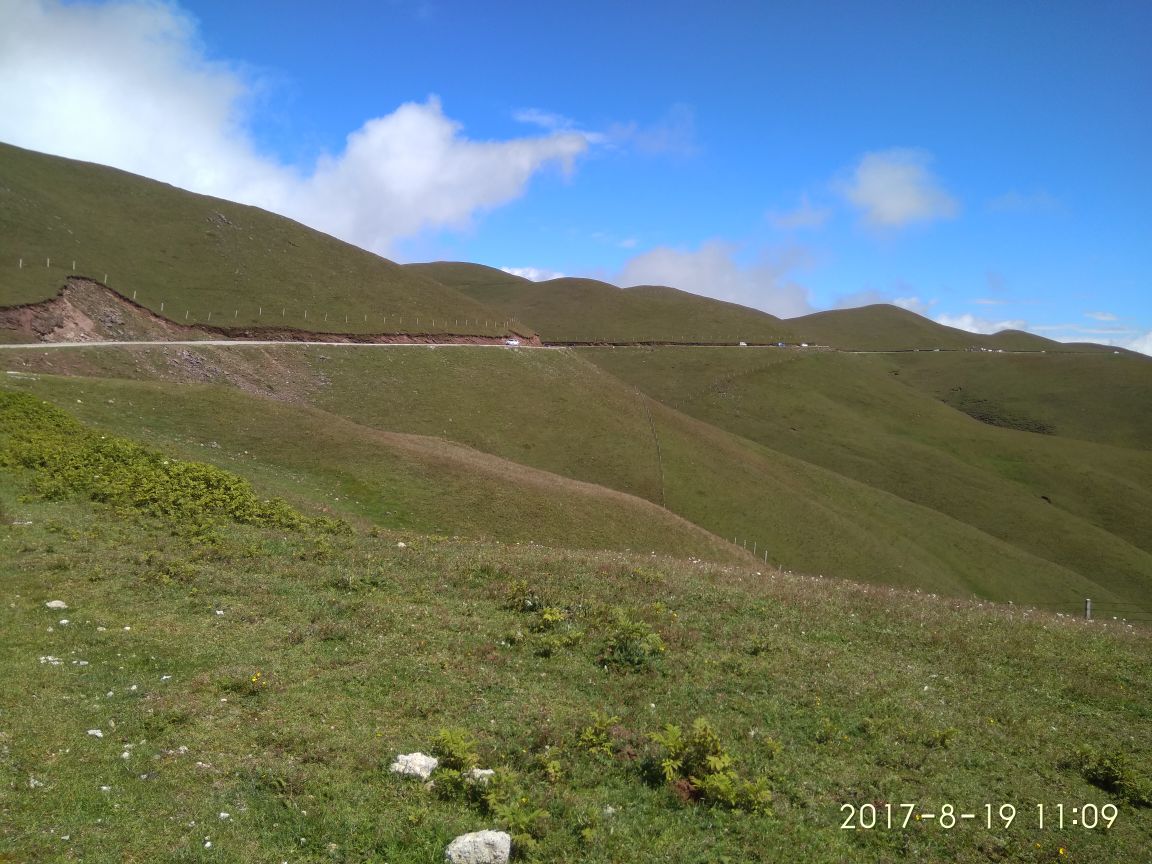 大海草山